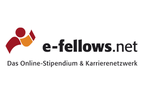 Logo e-fellows
