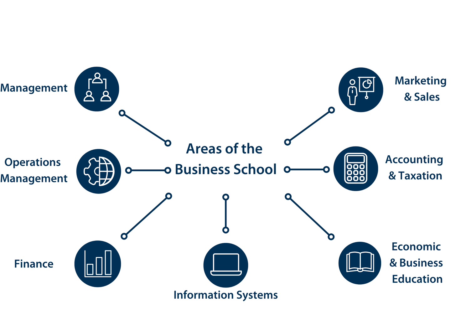 In the center of the infographic is "Areas of the Business School". Around it are the other areas: Finance, Marketing & Sales, Accounting & Taxation, Economic & Business Education, Information Systems, Operationa Management and Management. next to the area names are icons.